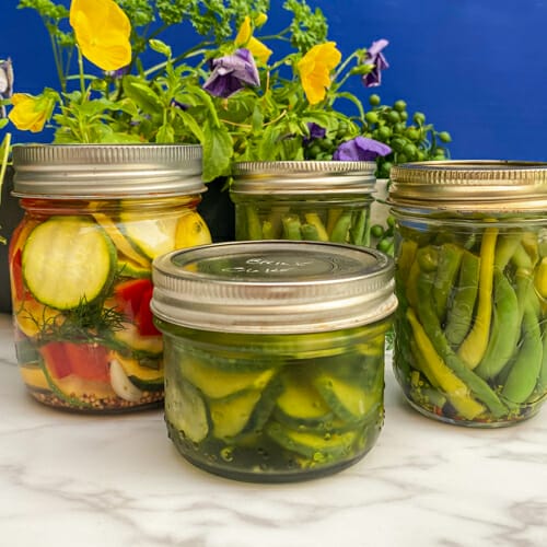 Ten Steps to Quick Refrigerator Pickles – No Canning Needed