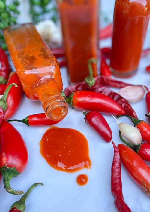 Homemade Hot Sauce (Fermented or Quick Cook Recipe)