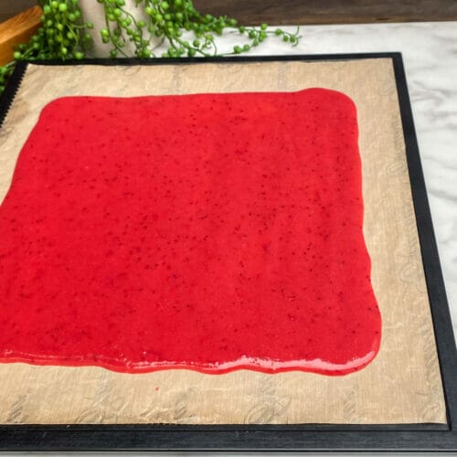 Liquid cranberry fruit leather mixture poured onto drying sheet, before drying.