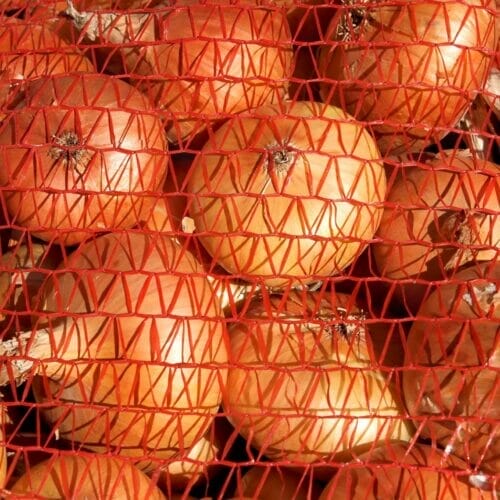 onions in mesh
