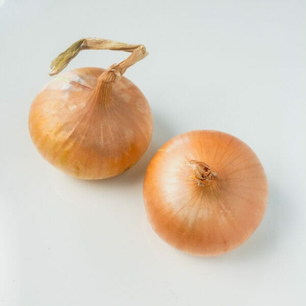two yellow onions on white