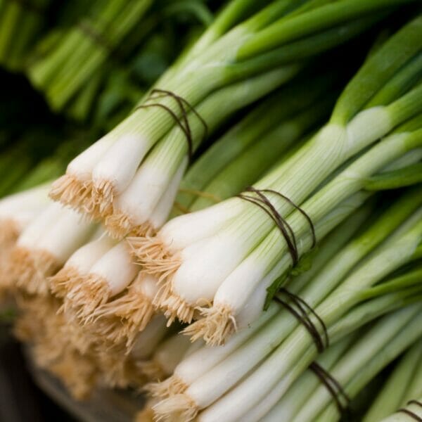bunches of green onions
