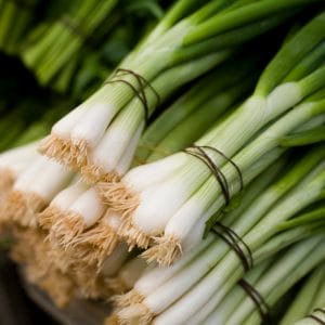 How to Regrow Green Onions from the Fridge