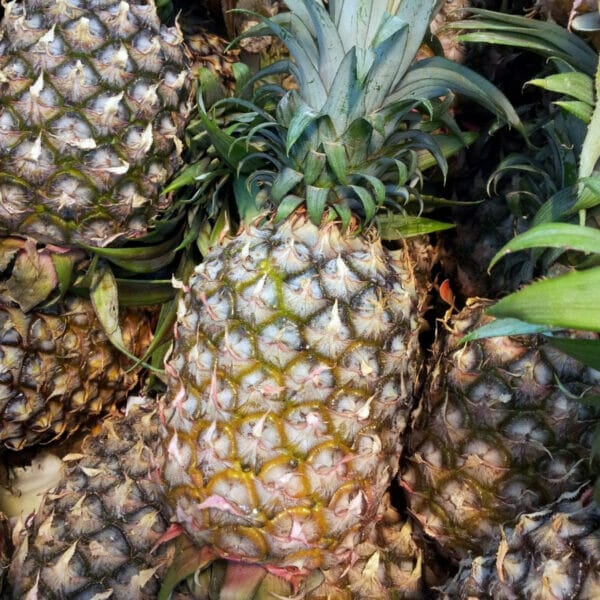 whole fresh pineapple