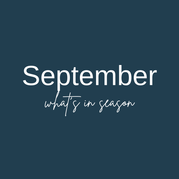 text "September - what's in season"