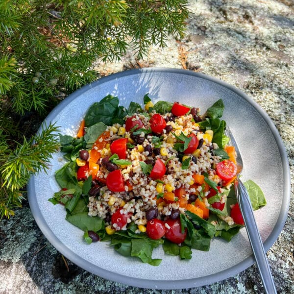 zesty quinoa salad on spinach in bowl on rock
