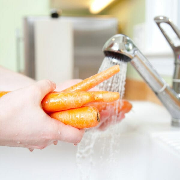 hands holding whole raw carrots under running water