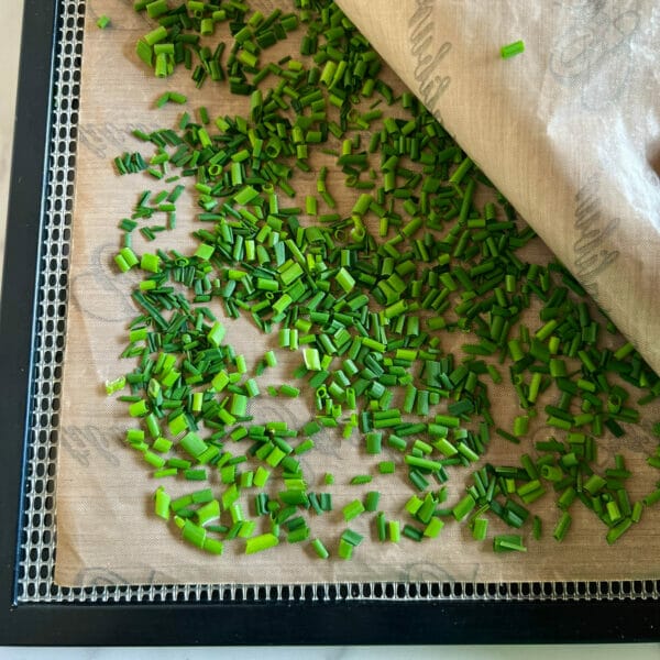dehydrating chives between sheets