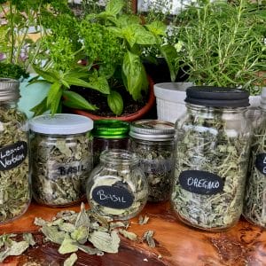 6 Tips for How to Store Dried Herbs for Long-lasting Flavor