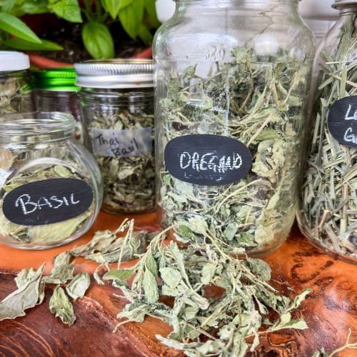 full jars of whole herbs oregano and basil