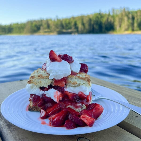 strawberries and whip cream on biscuit on plate on dock with lake