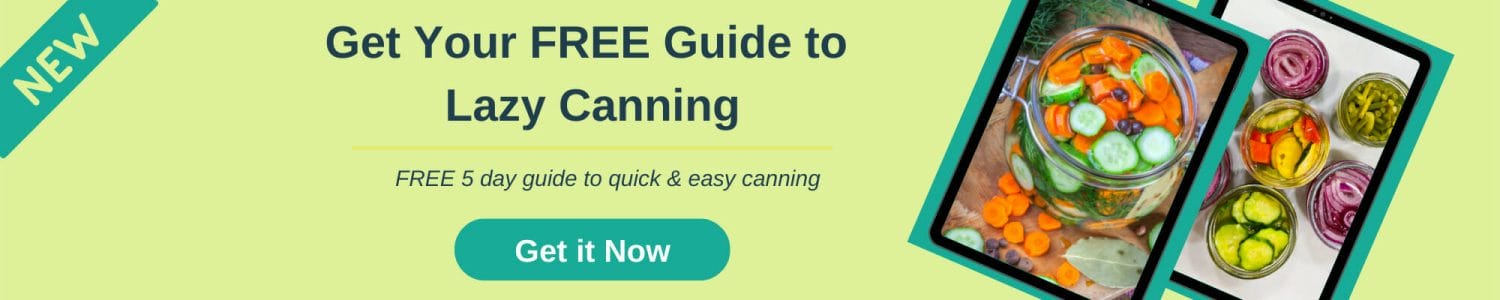 promo banner for Lazy Canning Quick Start Guide