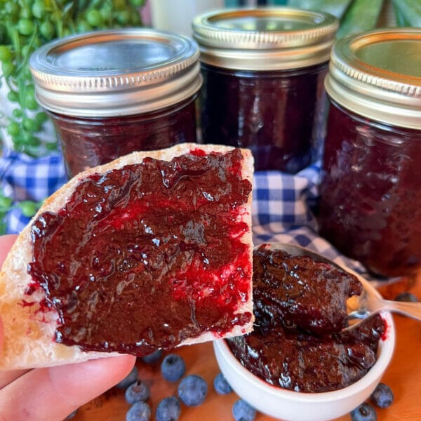 blueberry jam on bread