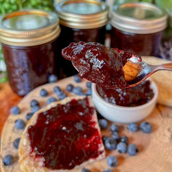 blueberry jam on spoon and bread