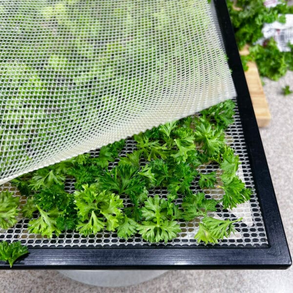 parsley on tray with mesh liner on top