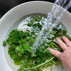 water running into bowl with parsley