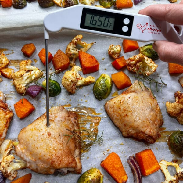 Meat thermometer inserted in piece of chicken reads 165F 