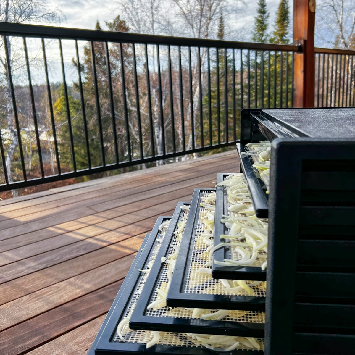dehydrator with trays of onions on balcony overlooking trees 