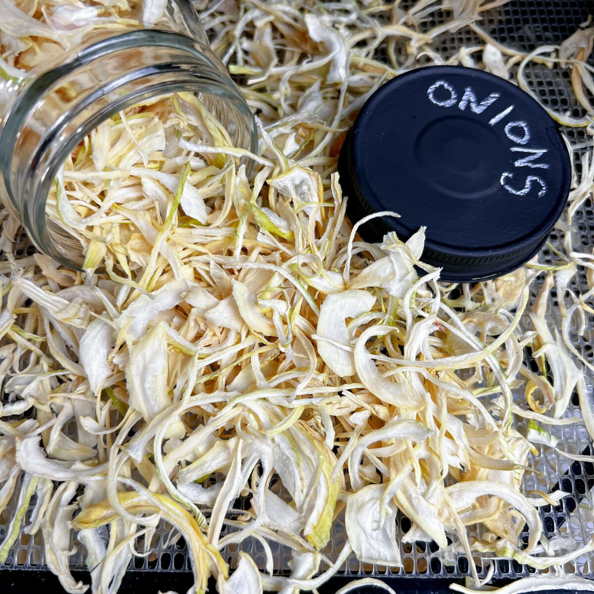 dried onions on tray in dehydrator with jar and lid