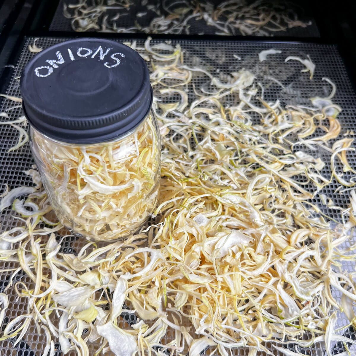 dried onion slices in dehydrator with jar
