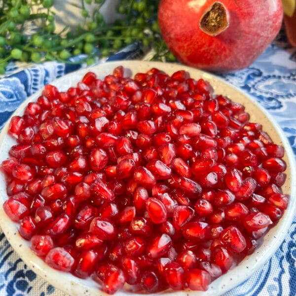 plate of pomegranate seeds close up on blue and white table cloth