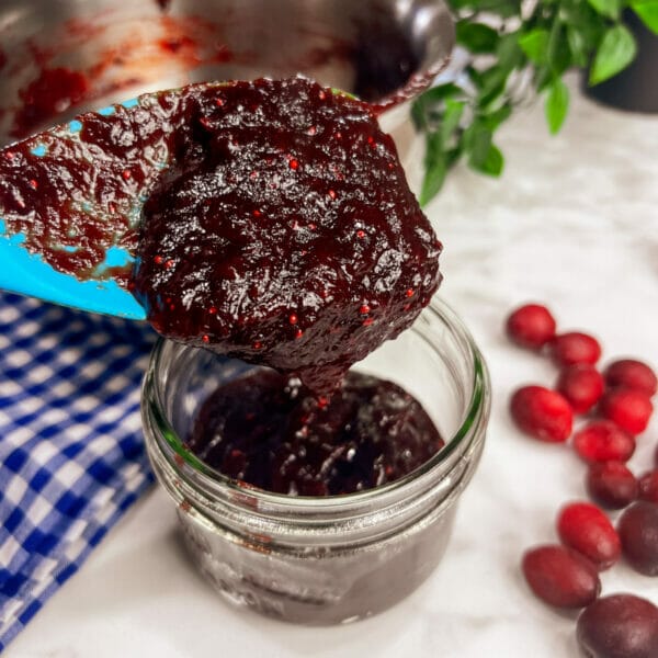 cranberry molasses bbq sauce on silicone spoon over jar on counter
