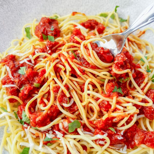 tomato sauce with spaghetti noodles and fork
