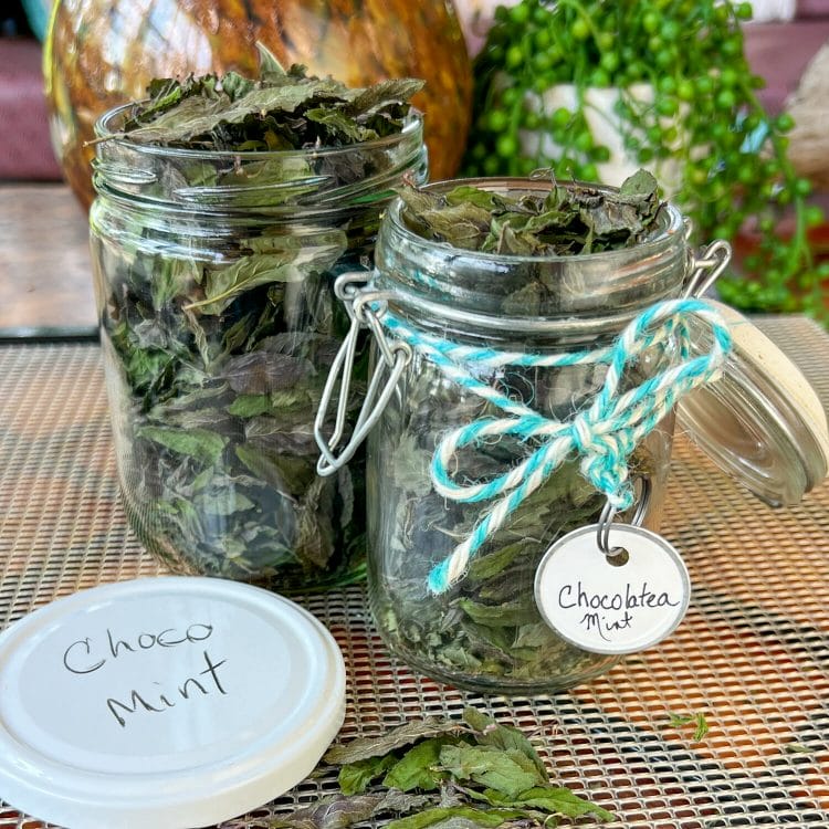dried mint leaves in jars labeled