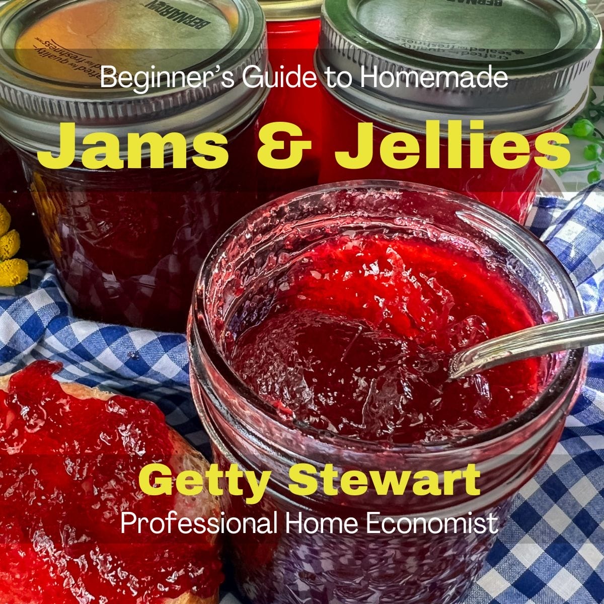 Beginner’s Guide to Homemade Jams & Jellies