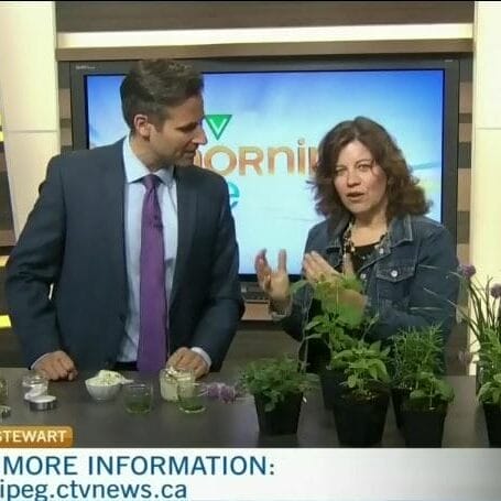 herb butter on ctv