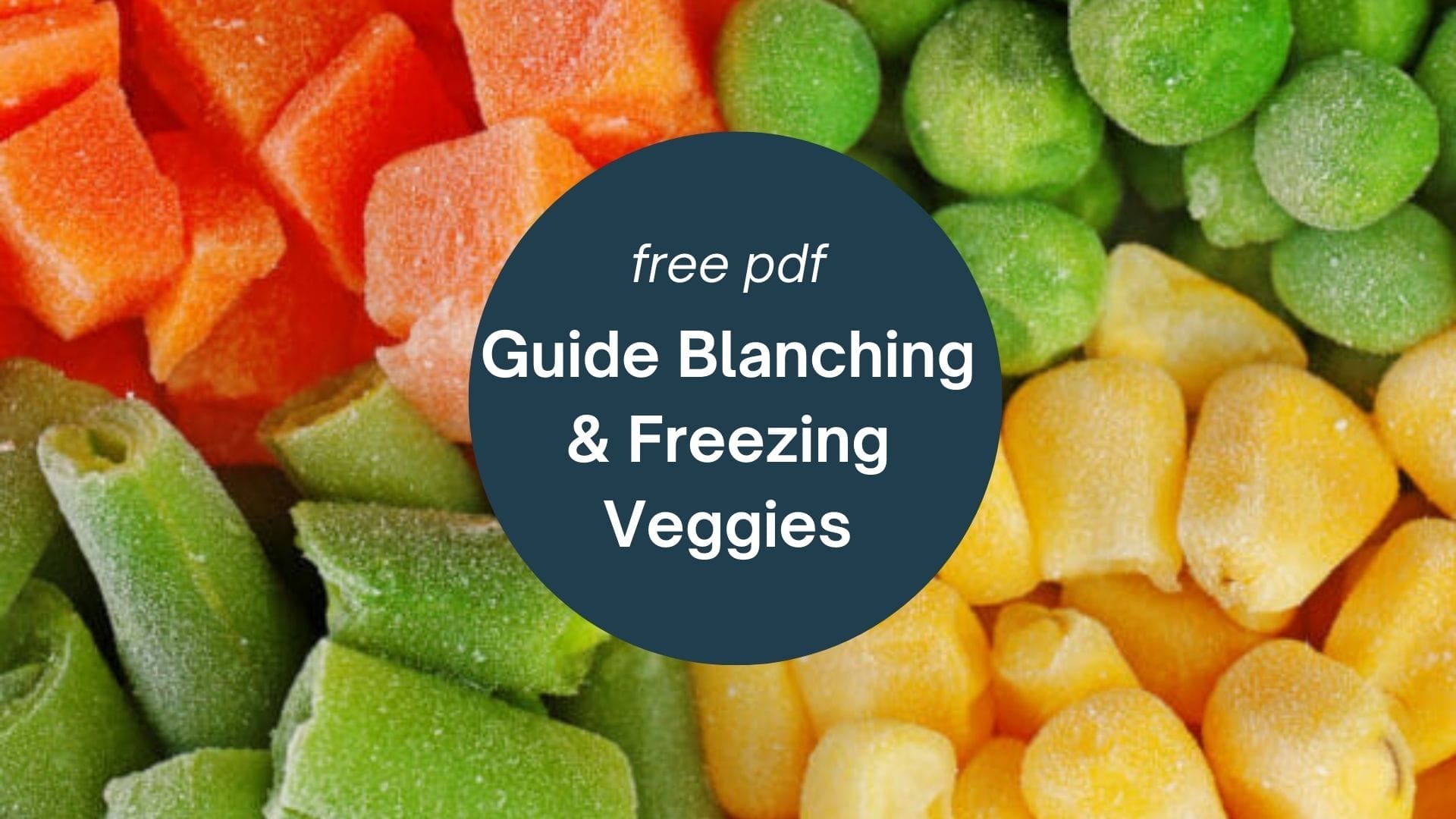 guide to freezing veggies slider