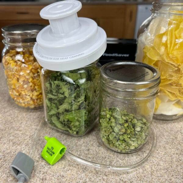 Deals Foodsaver vacuum system with hand sealer canning garden vegetables VS3110